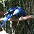 Dave Robinson's profile image