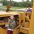 Brad Geeding's profile image