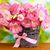 Georgetta Miller Kinyon's profile image