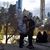Julia Alvelo Cardenas's profile image
