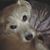 Diane Reade's profile image