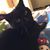 Antonella DelPrete's profile image