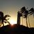Melinda Herzberg's profile image