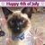 Penny Miller's profile image