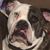 Bruce McNulty's profile image