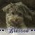 Valerie Barnes's profile image