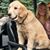Tracy Ann Halfman's profile image