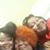 Charlie Ann Jordan's profile image