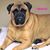 Giuliana Collette's profile image
