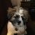 Linda Asti's profile image