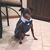 Casper Carlyle Gonzalez's profile image