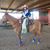 Randi Wright's profile image