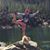 Larissa Wright's profile image