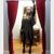 Sarah Jewell's profile image