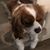Julie Rogers-Honeycutt's profile image