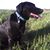 Judy Keune Rollin's profile image