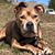 Brenda B-Nice Montgomery Servance's profile image