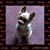 Cindy Gardner's profile image
