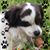 Lynn Padmay Shoop's profile image