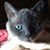 Michael Dowse's profile image