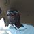 Harold Daniel's profile image