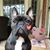 Karen Bills Riggle's profile image