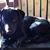 Sandra Spoonley's profile image