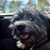 Christine Anita Yelich Roberts's profile image