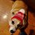 Beth Demith's profile image