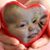 Weslee Held's profile image