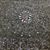 Allison Trombly Spurbeck's profile image
