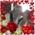 Carolyn Ann Matthews's profile image