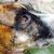 Shelia King Johnson's profile image