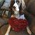 Denise Peterson Murdock's profile image