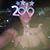 Josie Najar Najar's profile image
