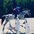 Lori Young Thomas's profile image