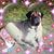 Debbie Morris-Ewoldt's profile image