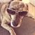 Erin Kaye's profile image