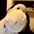Michelle Everett's profile image