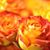 Tresa Emerick's profile image