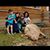 Tere Fox's profile image