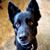 Julia P. Reilly's profile image