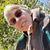 Kristi Cramer's profile image