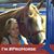 Chelsea Siemsen Vandermolen's profile image