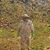 Dave Livesay's profile image