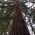 Lisa Gardner's profile image