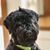 Wendy Higley's profile image