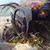 Lucy Beatty's profile image