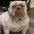 Rocky Rolla's profile image