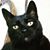 Elizabeth Luis Najera's profile image